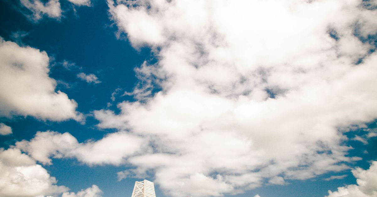 Capturing Timeless Memories with Family Portraits in Coffs Harbour