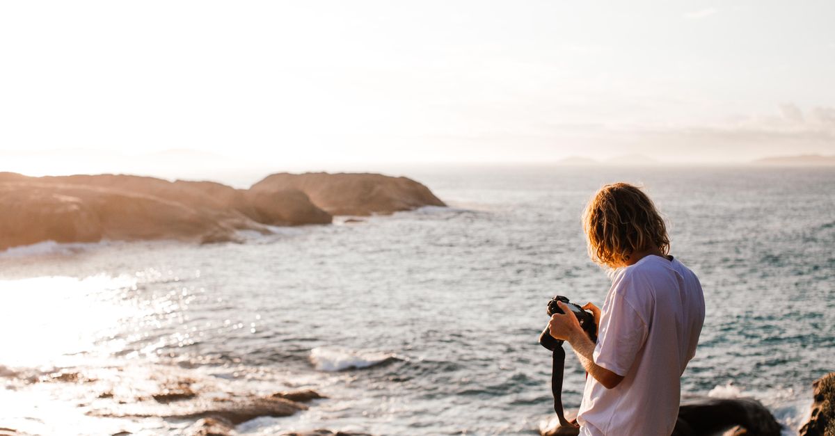 Exploring Hidden Gems: Rainforest Locations in Coffs Harbour