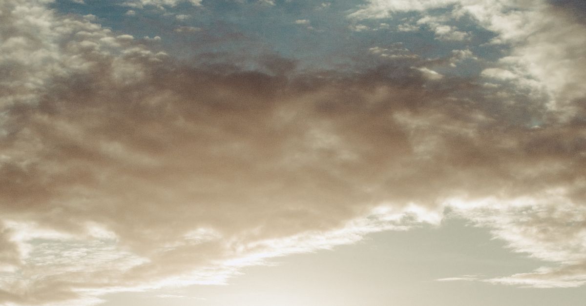 The Art of Storytelling through Rustic Wedding Photography in Coffs Harbour