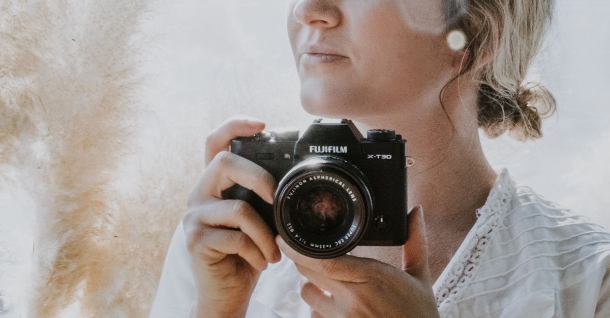 Wildlife Encounters: Photographing Flora and Fauna in Coffs Harbour Rainforests